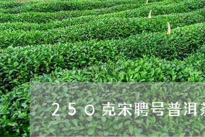 25O克宋聘号普洱茶/2023092618372