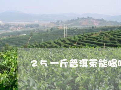 25一斤普洱茶能喝吗/2023092605281