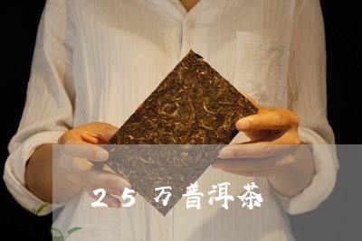 25万普洱茶/2023042610692