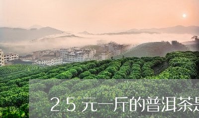 25元一斤的普洱茶是什么茶/2023110592816