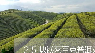 25块钱两百克普洱茶/2023092643028