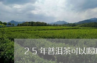 25年普洱茶可以喝吗/2023062020472