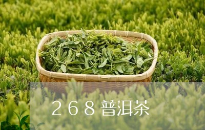 268普洱茶/2023042846035