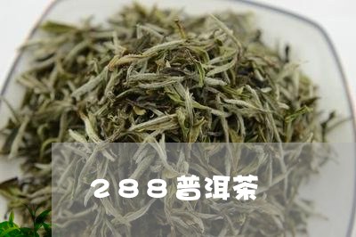 288普洱茶/2023112661614