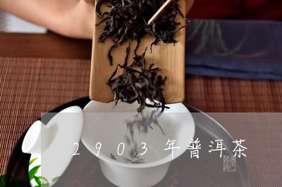 2903年普洱茶/2023102607481