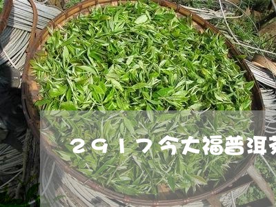 2917今大福普洱茶/2023080222848