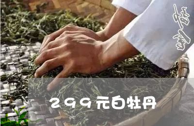 299元白牡丹/2023112308269