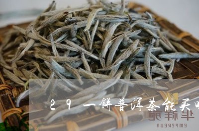 29一饼普洱茶能买吗/2023062134945