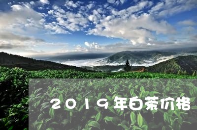 2O19年白茶价格/2023071450815