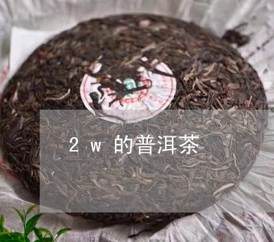 2w的普洱茶/2023102546262