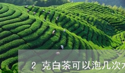 2克白茶可以泡几次水/2023082620682