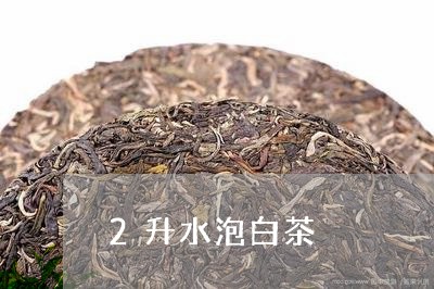 2升水泡白茶/2023111587371