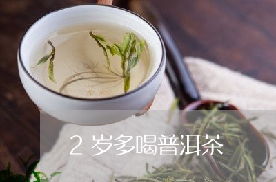 2岁多喝普洱茶/2023110588351