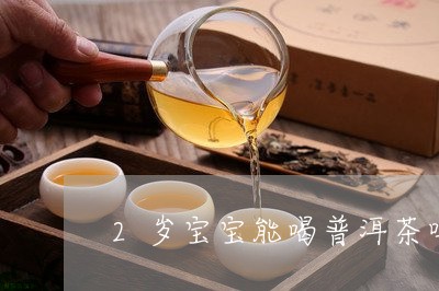 2岁宝宝能喝普洱茶吗/2023092816047