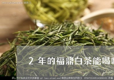 2年的福鼎白茶能喝吗/2023120794271