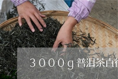 3000g普洱茶直径/2023100658575