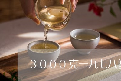 3000克一九七八普洱茶砖/2023052788259