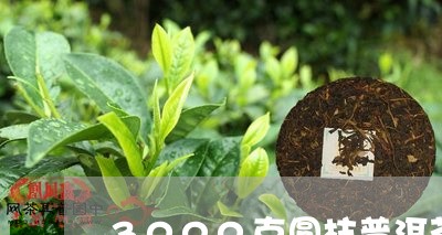 3000克圆柱普洱茶/2023061771604