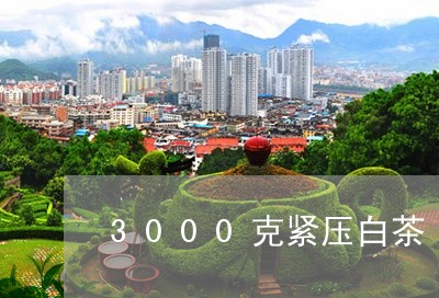 3000克紧压白茶/2023071411481