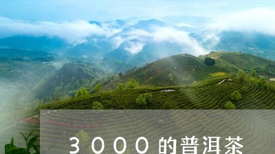 3000的普洱茶/2023110515038