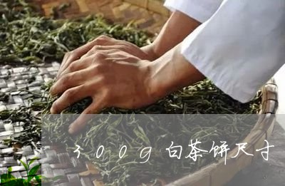 300g白茶饼尺寸/2023121566060