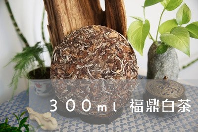 300ml福鼎白茶/2023121569603