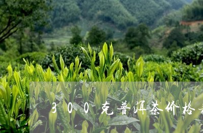 300克普洱茶价格表/2023062060803