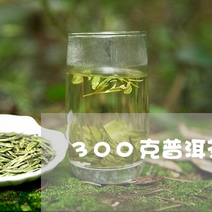 300克普洱茶多少钱/2023093041706