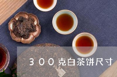 300克白茶饼尺寸/2023071358240