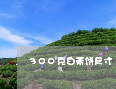 300克白茶饼尺寸/2023121555049