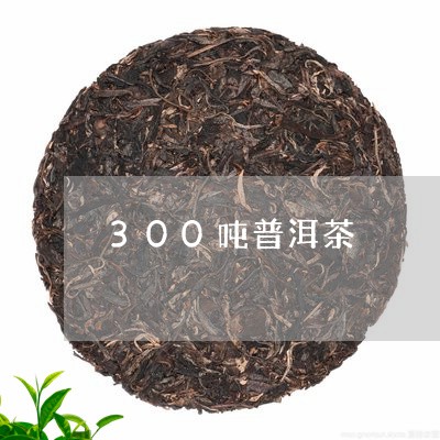 300吨普洱茶/2023101618162