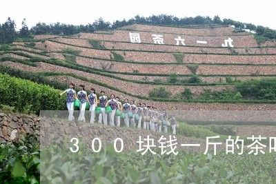 300块钱一斤的茶叶有哪些/2023052637415