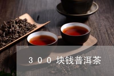 300块钱普洱茶/2023101610693