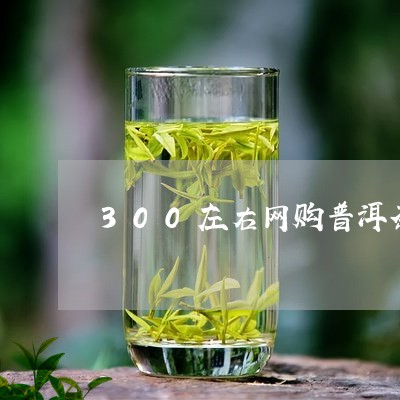 300左右网购普洱茶/2023120793707