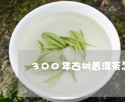 300年古树普洱茶怎么鉴别/2023081725250