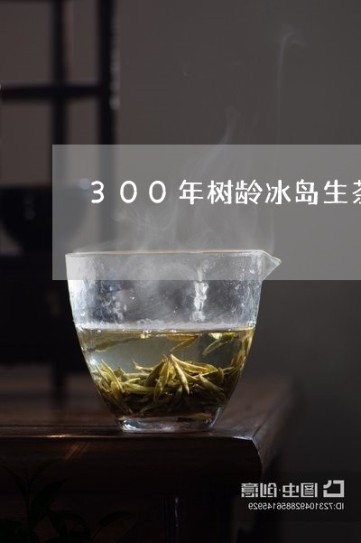 300年树龄冰岛生茶/2023061283826