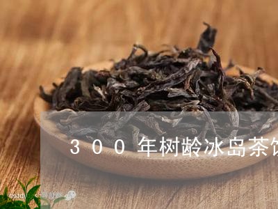 300年树龄冰岛茶饼/2023092315079