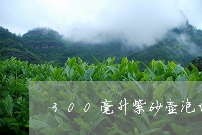 300毫升紫砂壶泡白茶寿眉/2023062950603