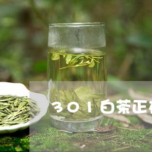 301白茶正在努力/2023121570796