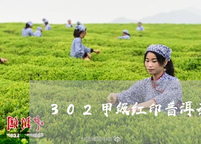 302甲级红印普洱茶/2023080119572