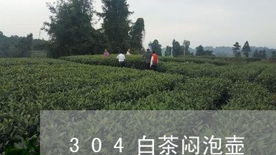 304白茶闷泡壶/2023073071715