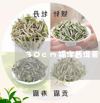 30cm福字普洱茶饼/2023092884957