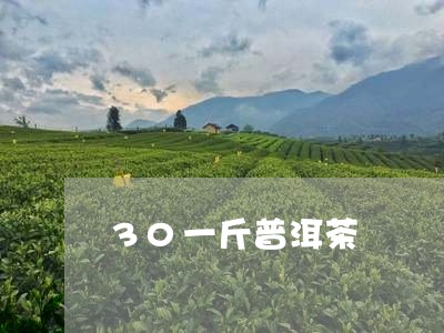 30一斤普洱茶/2023102643716