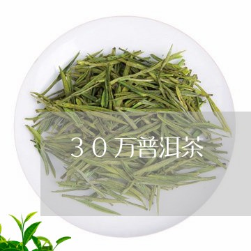 30万普洱茶/2023042689081