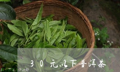 30元以下普洱茶/2023120331805