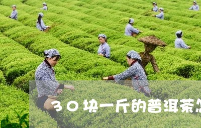 30块一斤的普洱茶怎么样/2023082772736