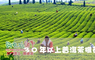 30年以上普洱茶推荐/2023080301693