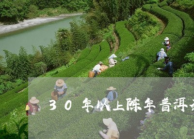 30年以上陈年普洱茶/2023080243827