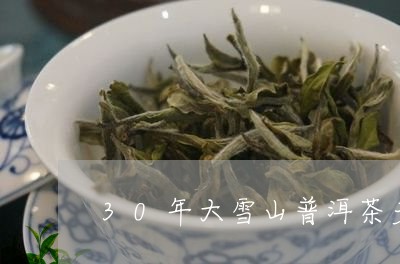 30年大雪山普洱茶多少钱/2024010462593