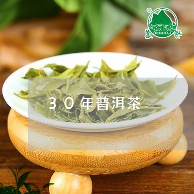 30年普洱茶/2023042981973